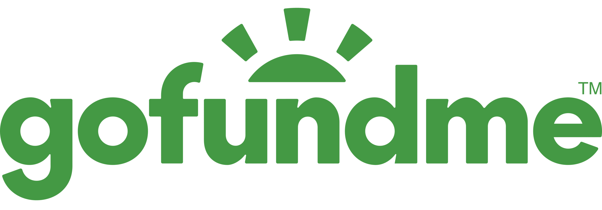 GoFundMe logo